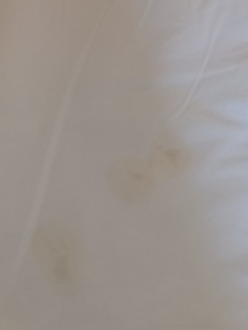 Williams Sonoma Cream Cotton Mini Diamond Matelasse Bed Skirt - Picture 5 of 10